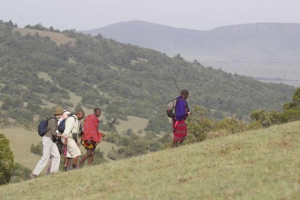6 days Loigta hills walking safari