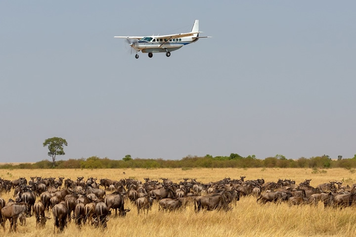 Flying Safaris in Tanzania