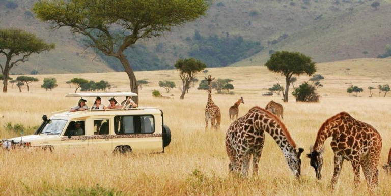 Combined Kenya Tanzania Lodge Safari Tour In Days