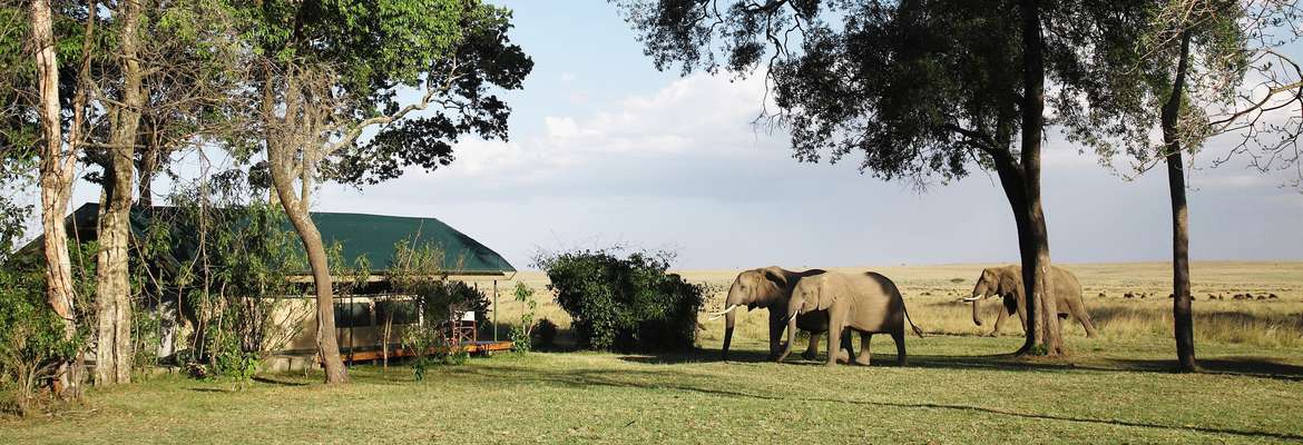 3 Days Masai Mara Kenya Budget Camping Safari Cost $360