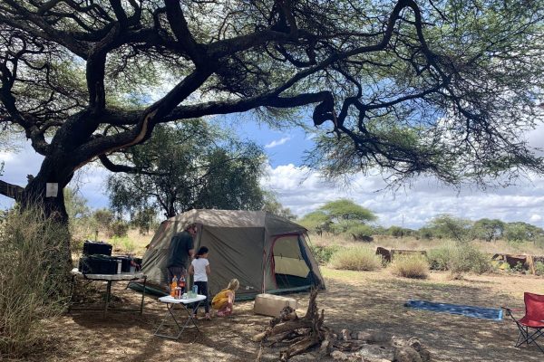 3 days amboseli camping safari