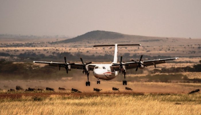 4 days Masai Mara Flying safari