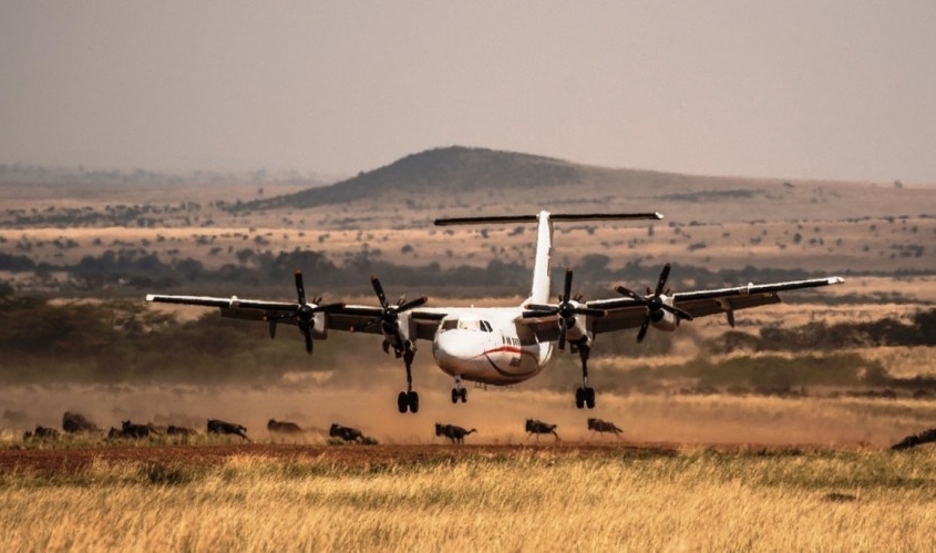 3 days Masai Mara Flying safari