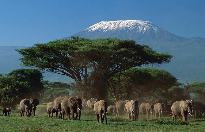 3 days Amboseli Safaris
