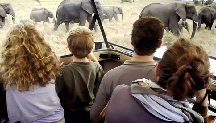 8 days Gorilla and Masai Mara