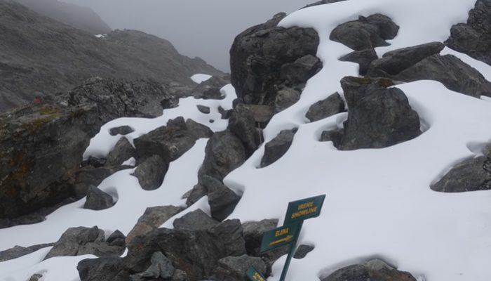 Mount Rwenzori Trek