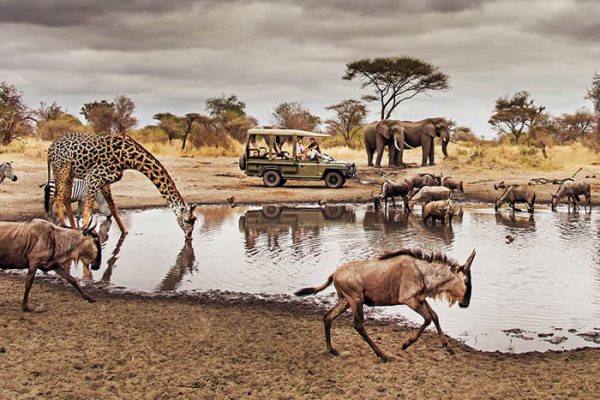 game drives in Serengeti