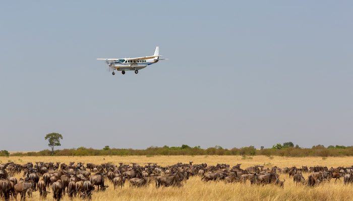 5 days fly in migration safaris