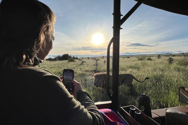 lewa downs sanctuary