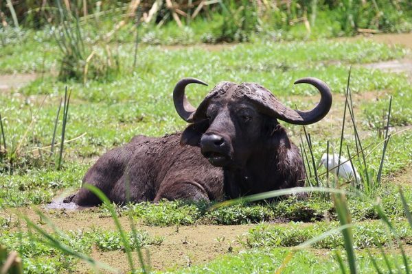 Arusha National Park