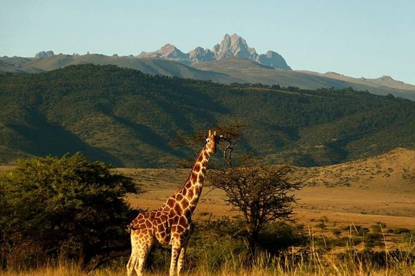 Laikipia Plateau