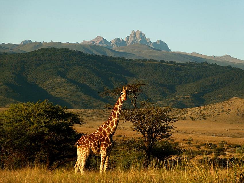 Laikipia Plateau