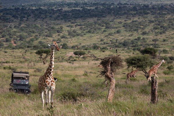 Loisaba Conservancy