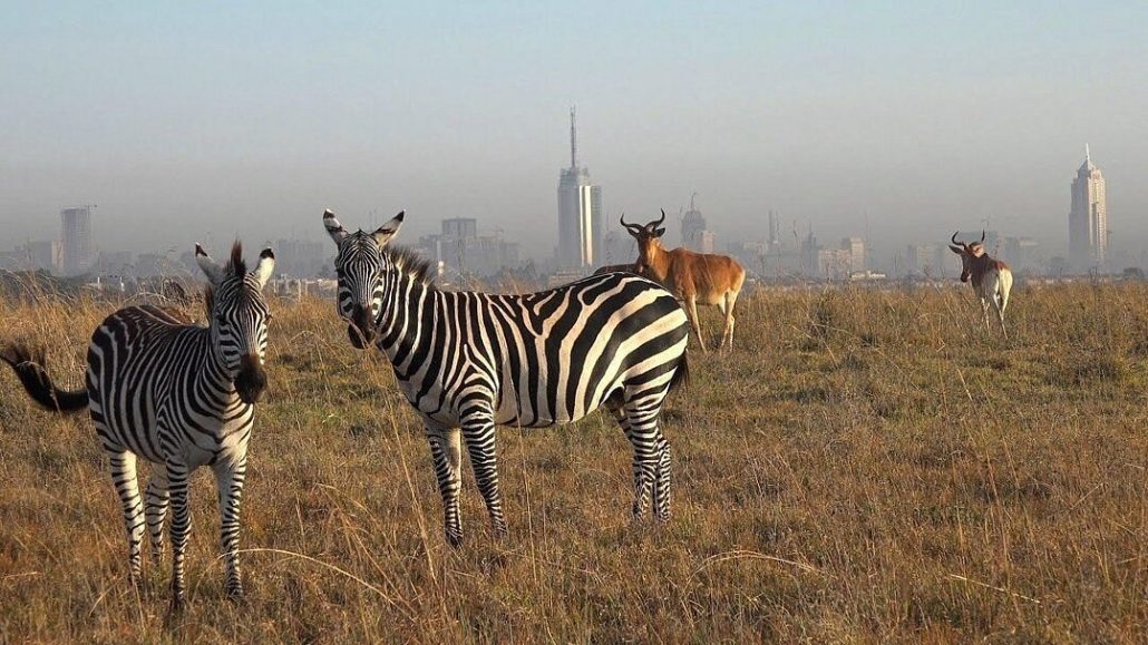 Nairobi National Park