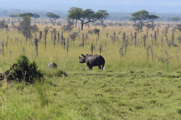 Ruma National Park