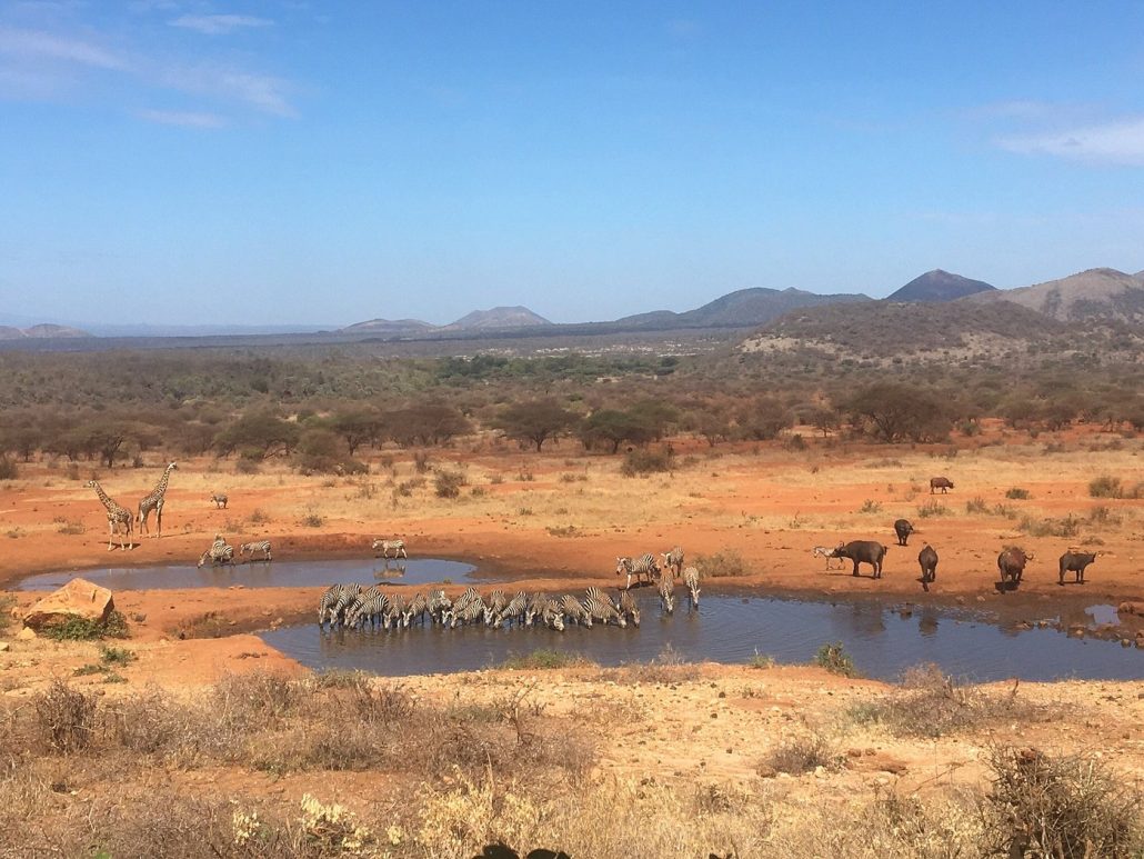 Tsavo West National Park