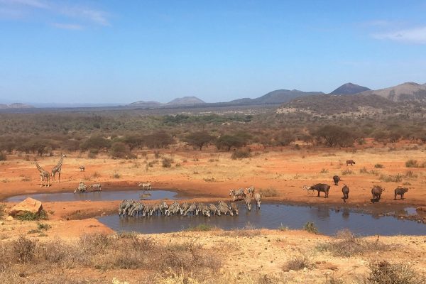 Tsavo West National Park