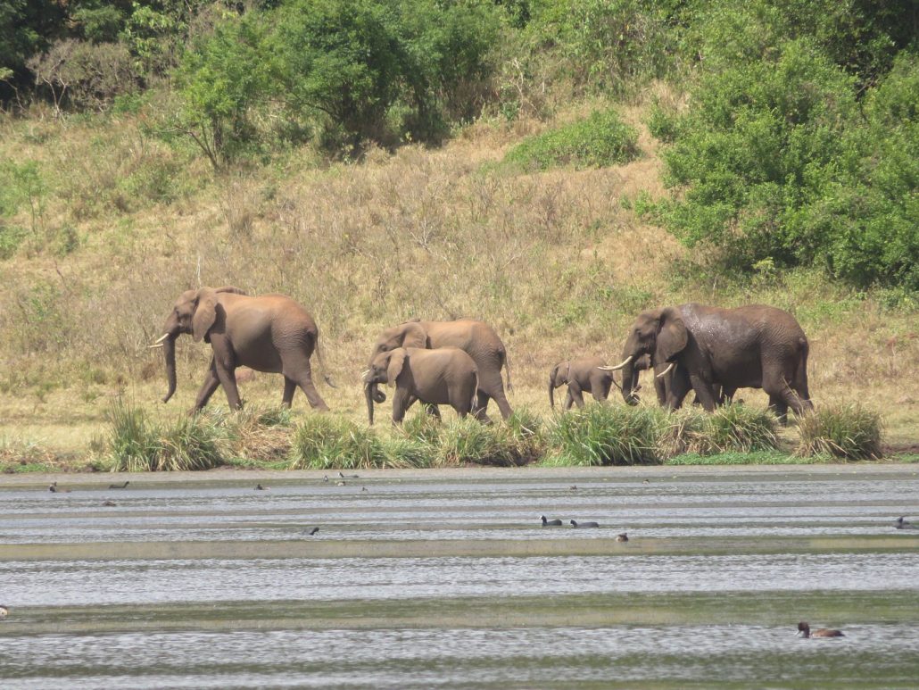 Marsabit National Park