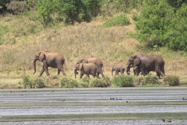 Marsabit National Park