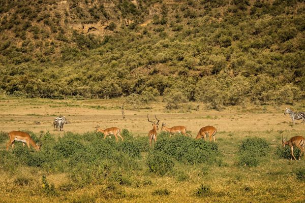 Hells gate National Park