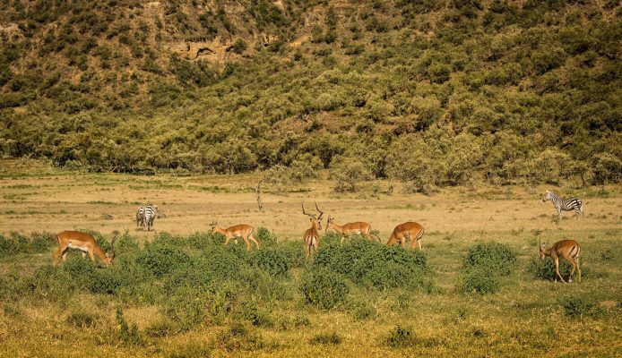 Hells gate National Park