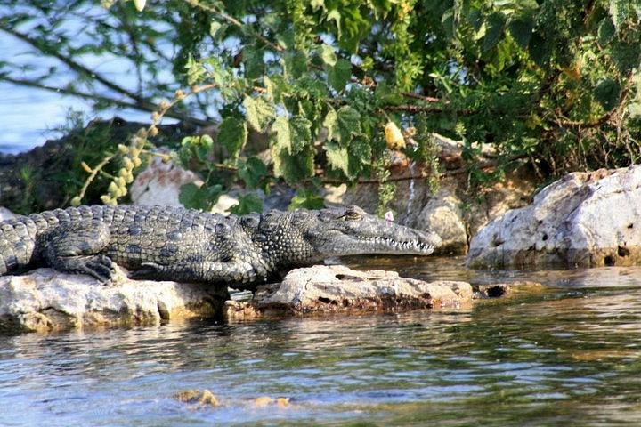 Rubondo Island National Park