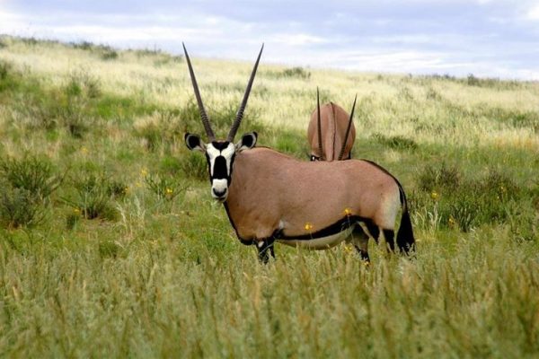 saadani national park