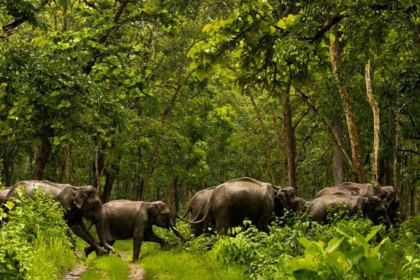 Shimba National Reserve