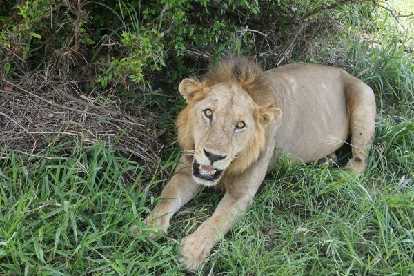 Activities in Mikumi National Park