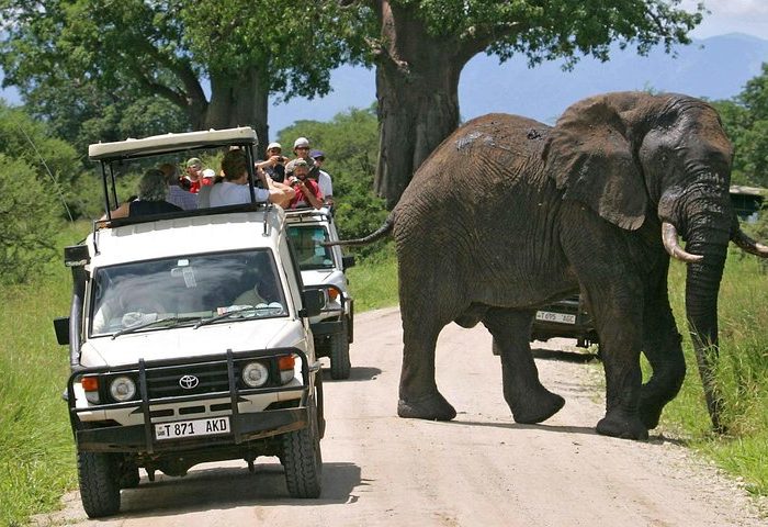 Activities in Southern Tanzania circuit Safaris