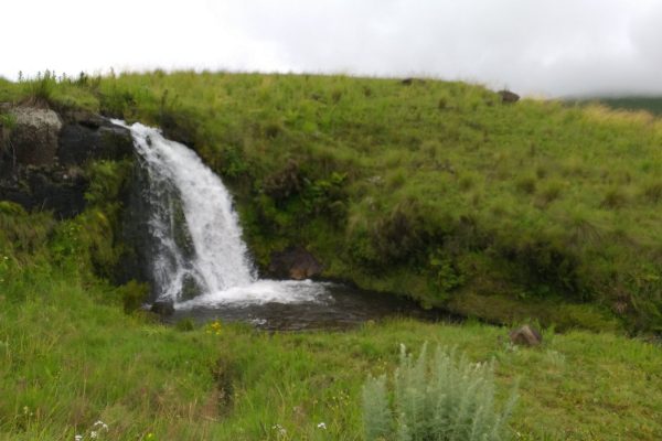 kitulo national park tanzania