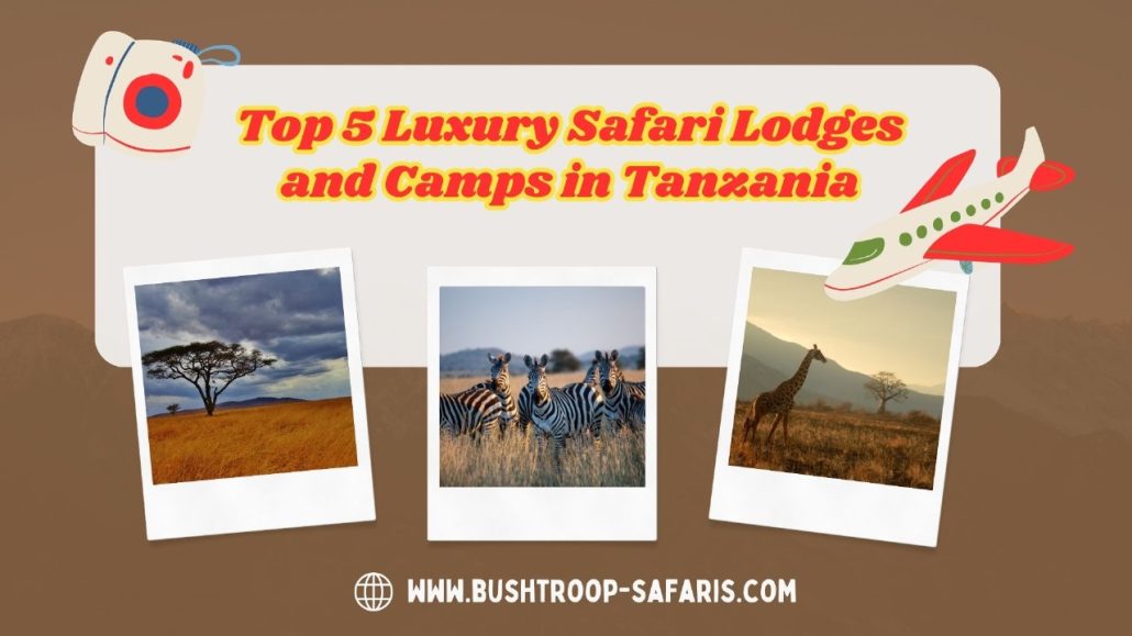 Top 5 Luxury Safari Lodges and Camps in Tanzania