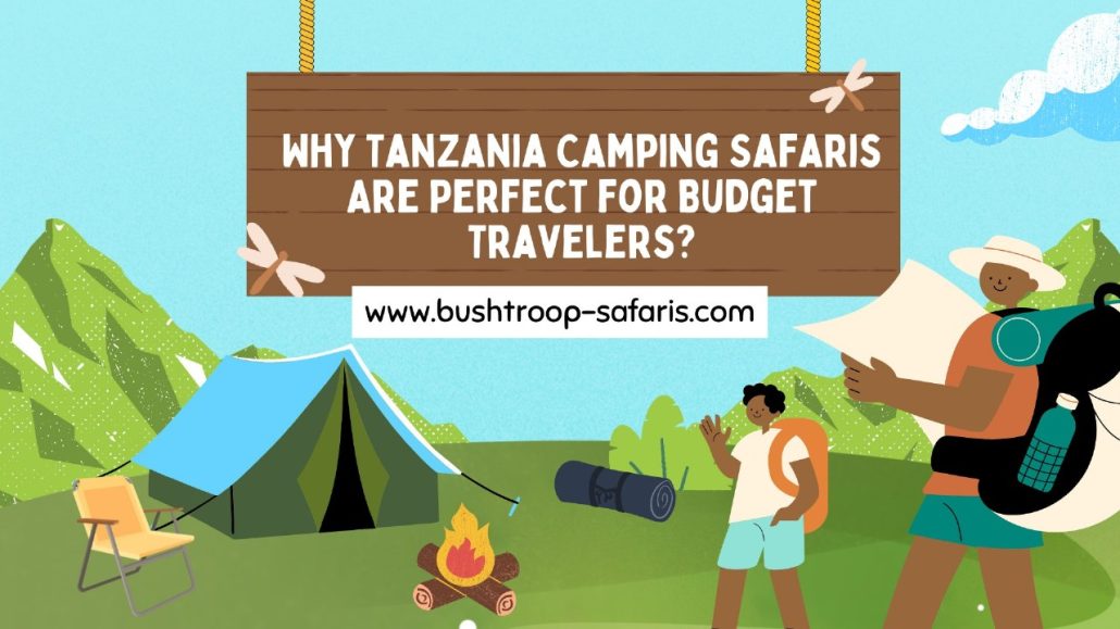 Why Tanzania Camping Safaris Are Perfect for Budget Travelers?